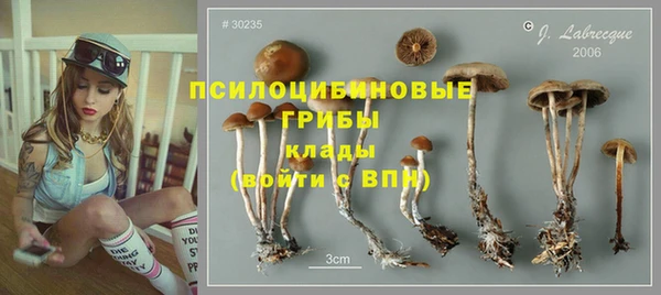 твердый Володарск