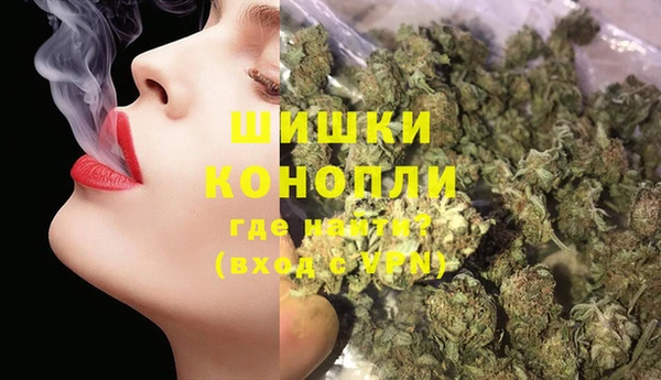 твердый Володарск