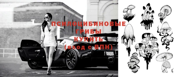 твердый Володарск